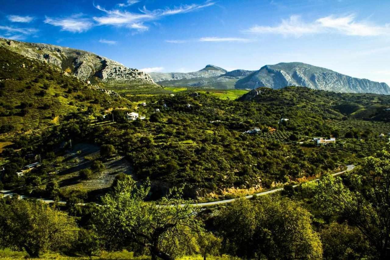 Casa Rural El Chaparro El Chorro Ngoại thất bức ảnh